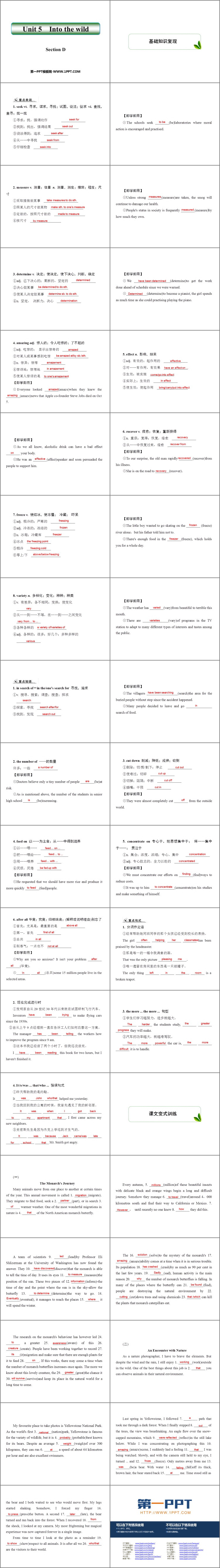 图片[2]-《Into the wild》SectionD PPT课件-第一PPT