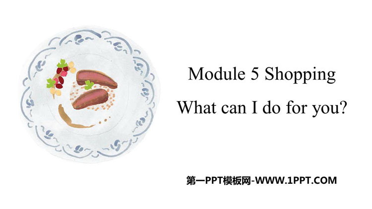 图片[1]-《What can I do for you?》Shopping PPT免费课件-第一PPT