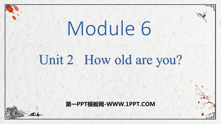 图片[1]-《How old are you?》PPT免费课件下载-第一PPT