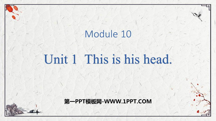 图片[1]-《This is his head》PPT课件下载-第一PPT