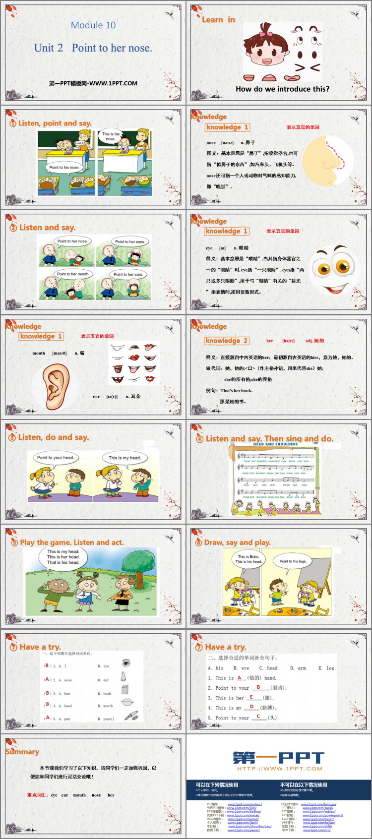 图片[2]-《Point to her nose》PPT免费课件-第一PPT