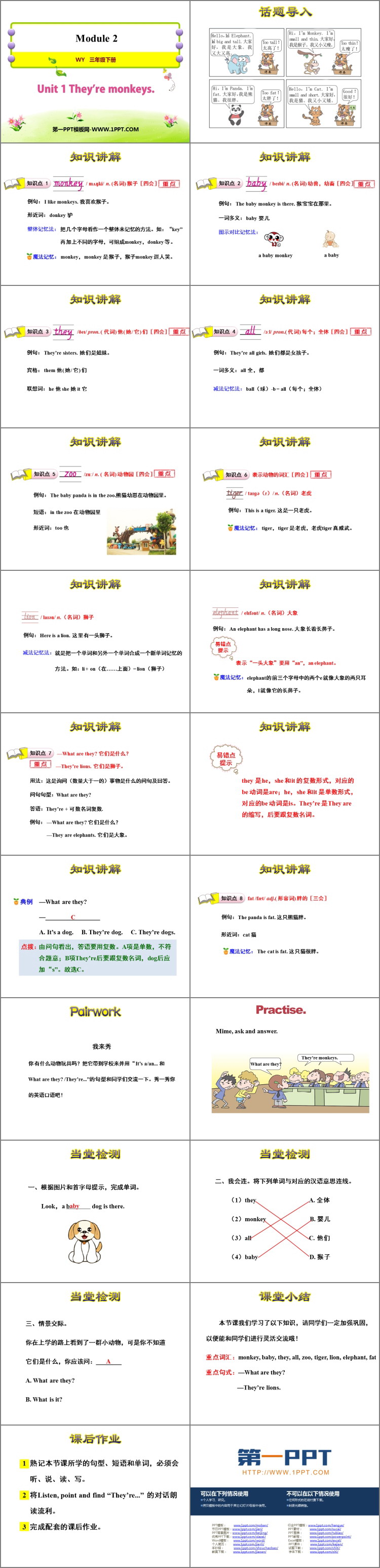 图片[2]-《They are monkeys》PPT免费下载-第一PPT
