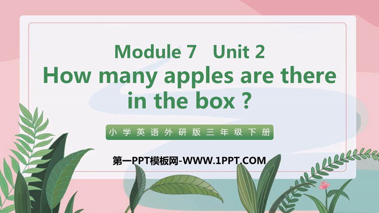 图片[1]-《How many apples are there in the box?》PPT免费课件-第一PPT