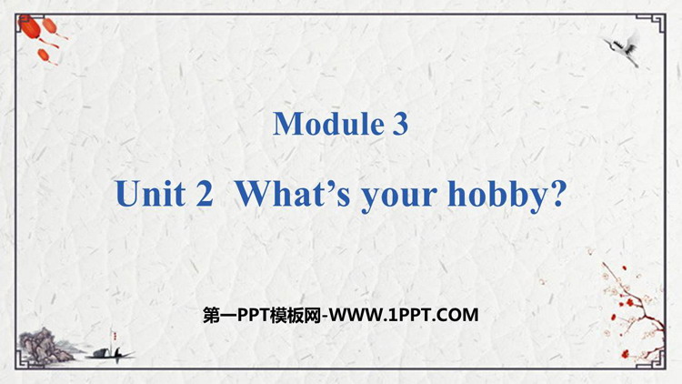 图片[1]-《What’s your hobby?》PPT免费课件-第一PPT
