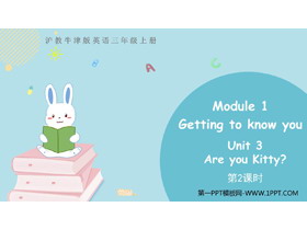 《Are you Kitty?》PPT教学课件(第2课时)-第一PPT