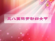 3.8国际劳动妇女节的由来PPT下载-第一PPT