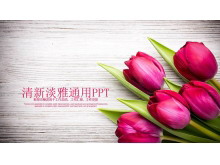 精致玫瑰花背景的爱情情人节PPT模板-第一PPT