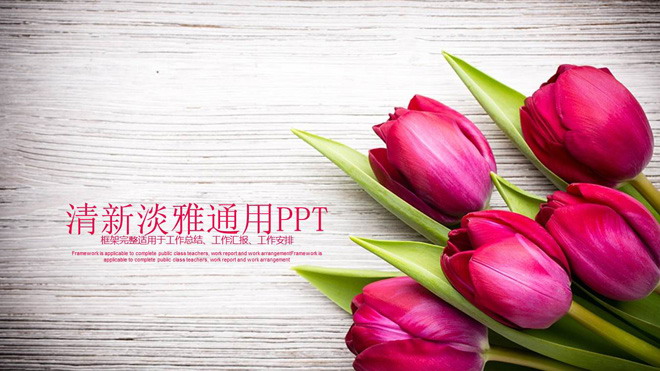 图片[1]-精致玫瑰花背景的爱情情人节PPT模板-第一PPT