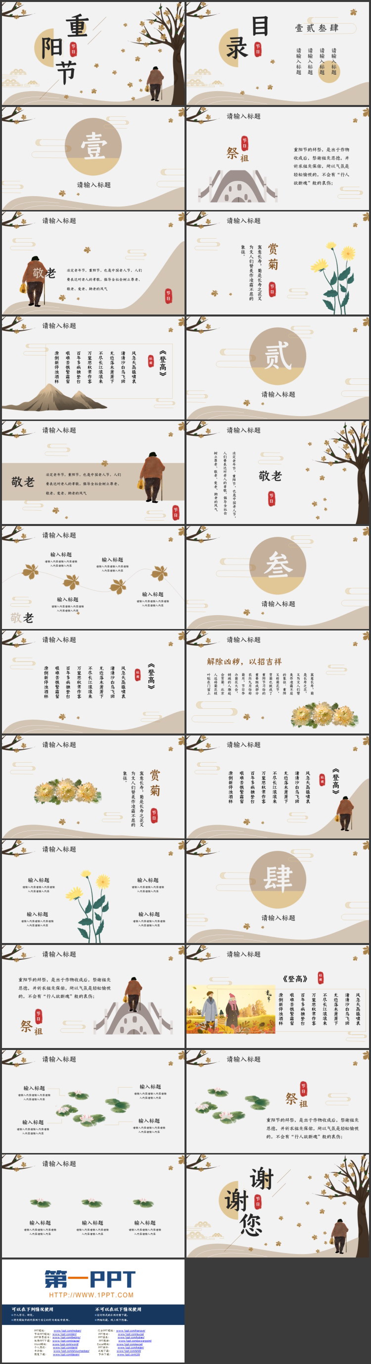 图片[2]-秋日落叶下的老人背景重阳节传统节日主题PPT模板-第一PPT
