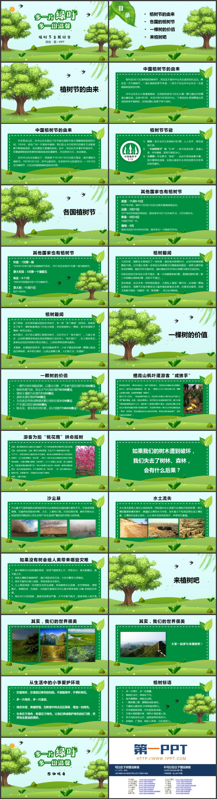 图片[2]-绿色大树背景“多一片绿叶多一份温馨”植树节主题班会PPT模板-第一PPT