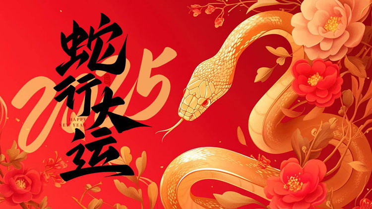 图片[1]-红金插画风“蛇行大运”新年工作总结汇报PPT模板-第一PPT