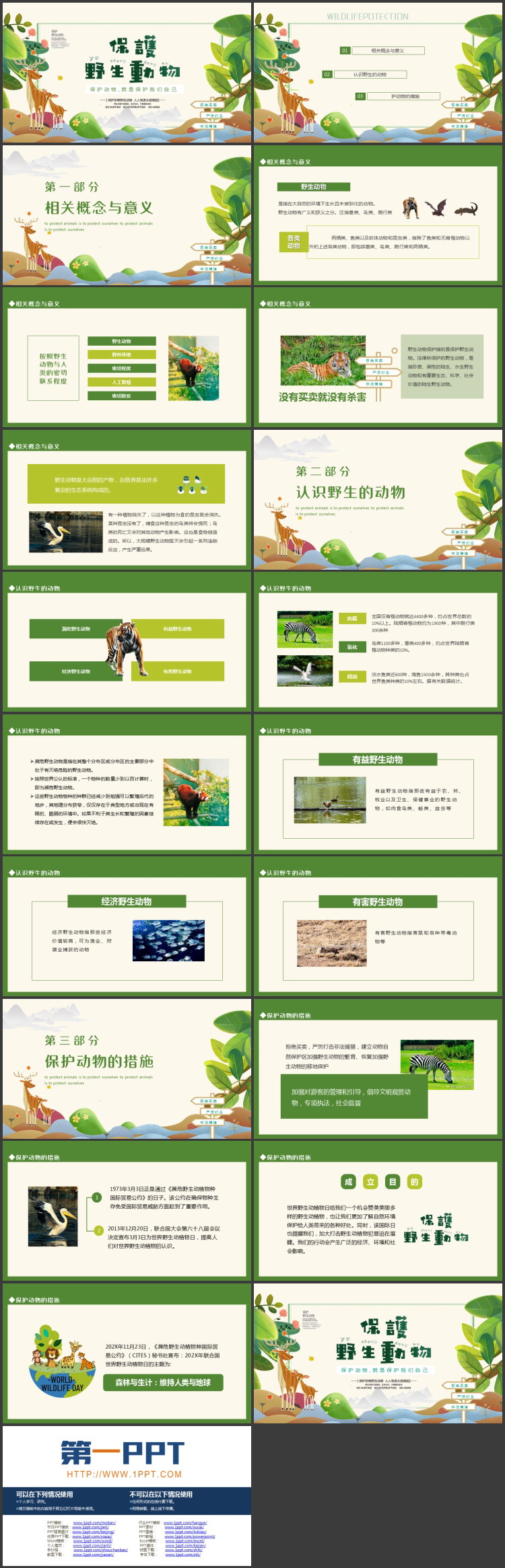 图片[2]-绿色卡通风格的保护野生动物PPT模板下载-第一PPT