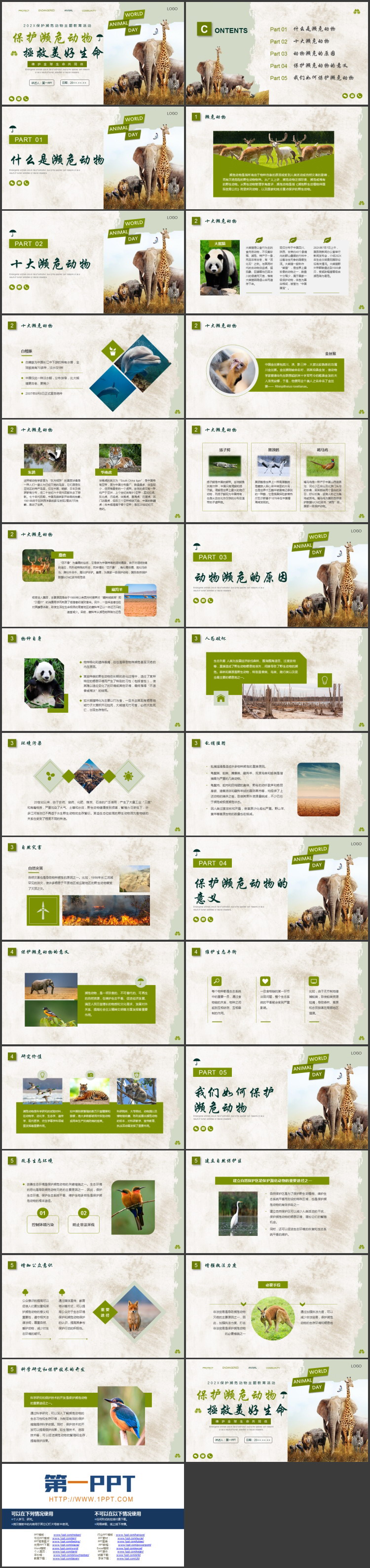 图片[2]-绿色野生动物背景的保护濒危动物主题教育活动PPT模板下载-第一PPT