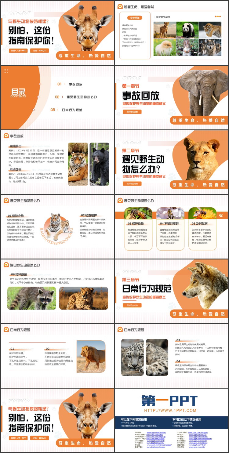图片[2]-橙色长颈鹿背景的“别怕这份指南保护你”野生动物保护PPT模板下载-第一PPT