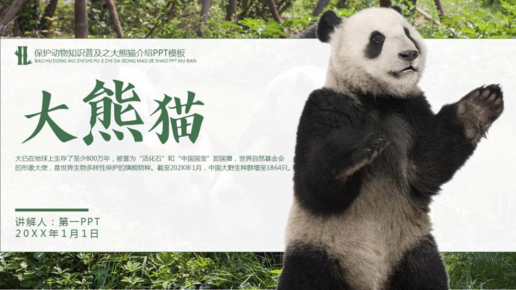 图片[1]-绿色保护动物知识普及之大熊猫介绍PPT模板下载-第一PPT