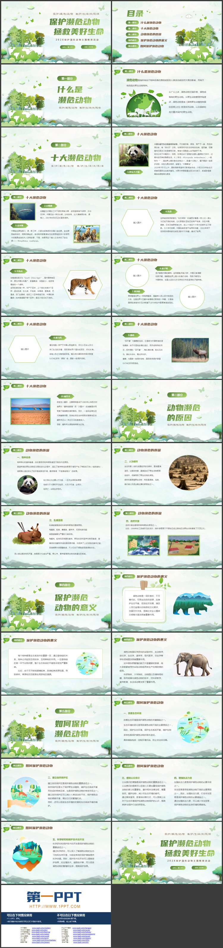 图片[2]-绿色矢量卡通风格的保护濒危动物主题教育活动PPT模板下载-第一PPT