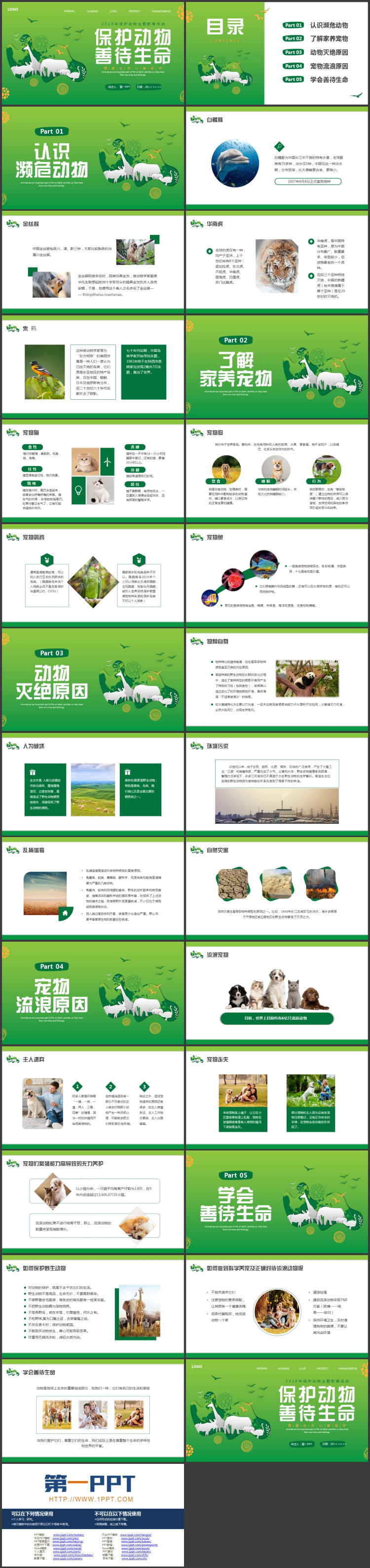 图片[2]-绿色卡通动物背景的保护动物主题教育活动PPT模板下载-第一PPT