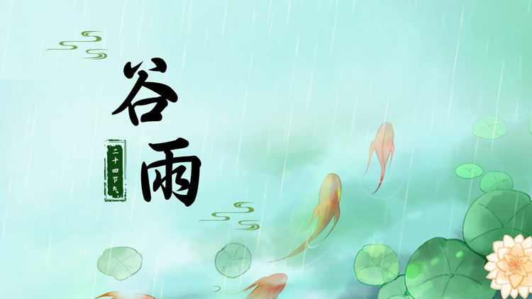 图片[1]-绿色荷叶锦鲤背景的插画风二十四节气之谷雨节气介绍PPT模板-第一PPT