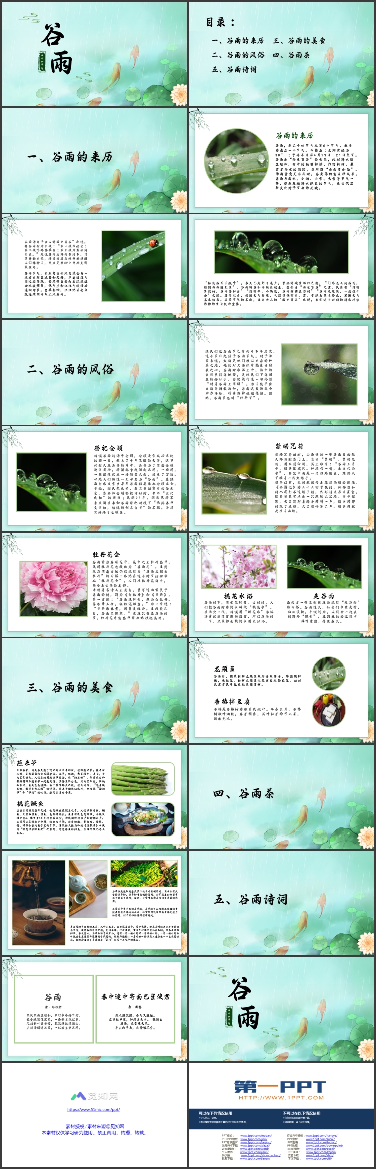 图片[2]-绿色荷叶锦鲤背景的插画风二十四节气之谷雨节气介绍PPT模板-第一PPT