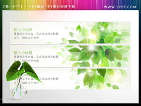 5张清新绿叶装饰的PPT文本框素材-第一PPT