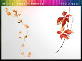 12张植物枝叶PPT插图素材-第一PPT