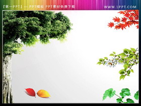 一组树木植物PPT插图素材-第一PPT