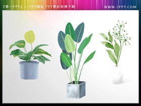 三张绿色水彩盆景植物PPT素材-第一PPT