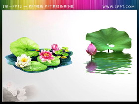 12套透明荷花荷叶PPT素材-第一PPT