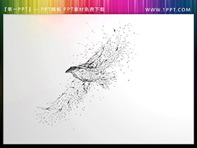 黑色粒子飞鸟PPT素材图片-第一PPT