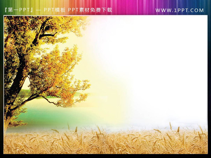 图片[5]-一组树木植物PPT插图素材-第一PPT