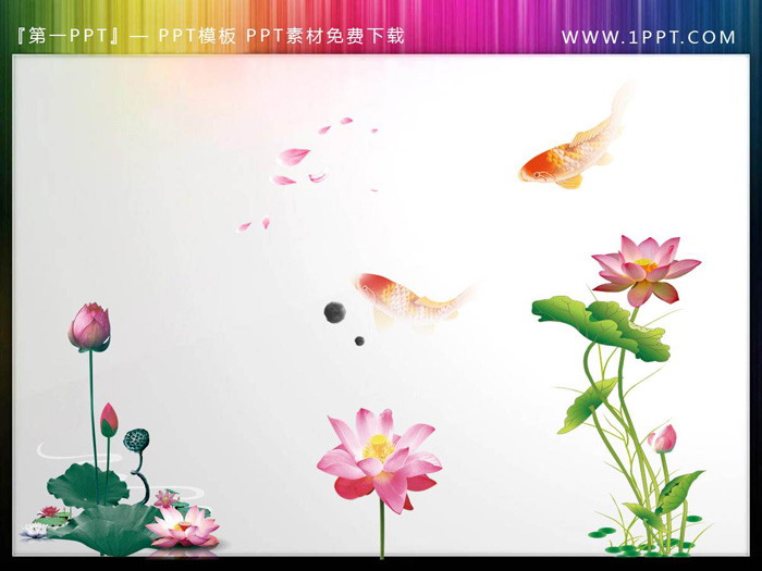 图片[7]-荷花荷叶鲤鱼PPT素材-第一PPT