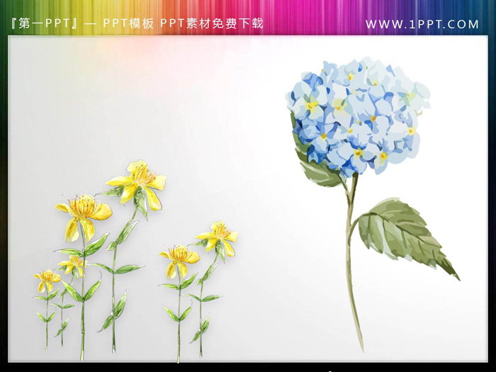 图片[5]-一组唯美水彩花卉PPT插图-第一PPT