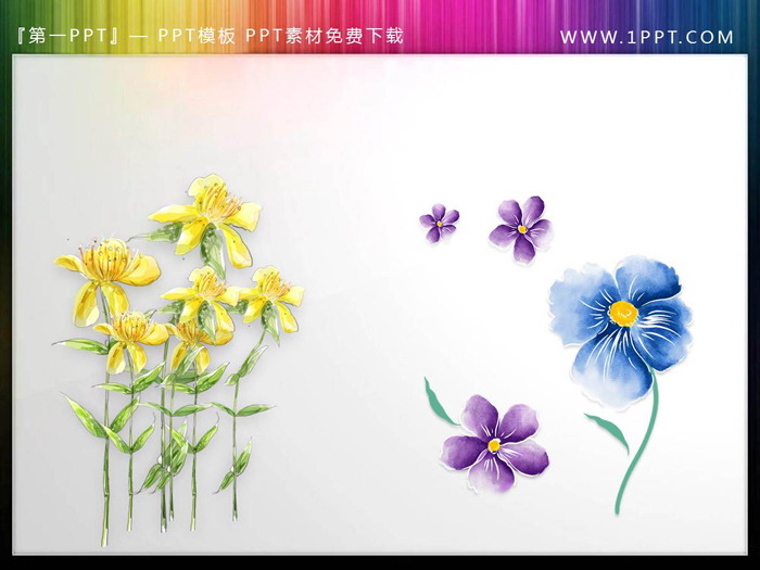图片[6]-一组唯美水彩花卉PPT插图-第一PPT