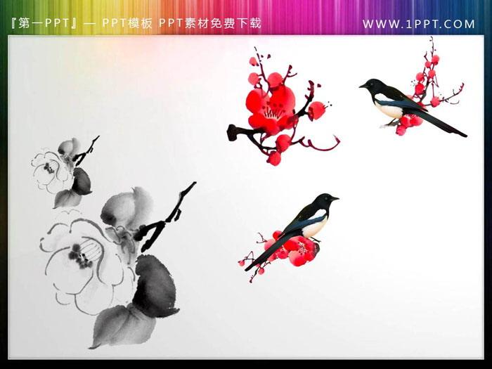 图片[3]-一组免扣花鸟梅花PPT插图素材-第一PPT