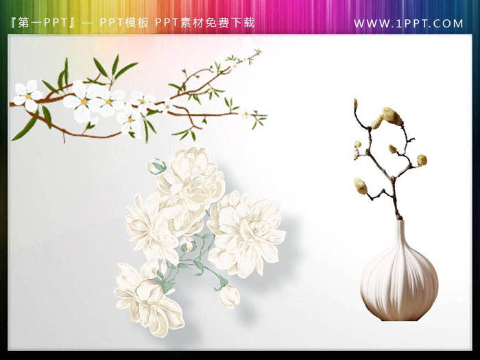 图片[4]-一组免扣花鸟梅花PPT插图素材-第一PPT