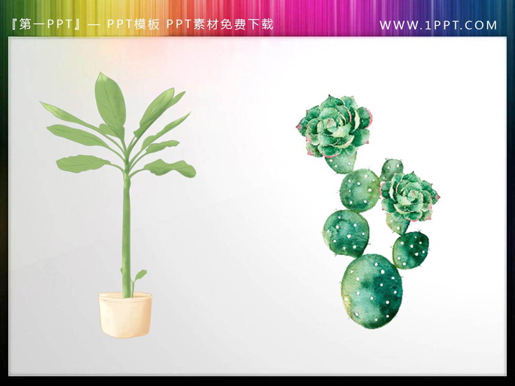 图片[1]-绿色水彩盆景与仙人掌PPT素材-第一PPT