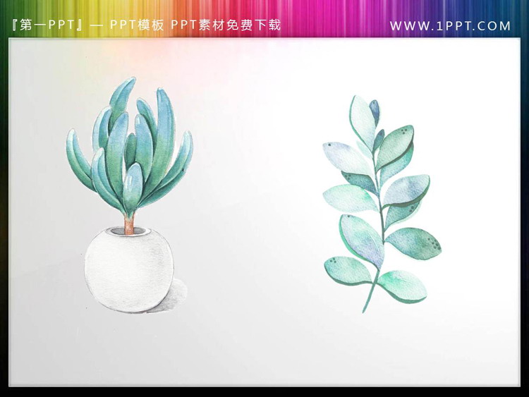 图片[1]-多肉植物盆景与绿色叶子PPT素材-第一PPT