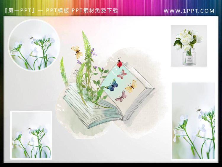 图片[1]-清新绿色植物书籍蝴蝶PPT插图-第一PPT