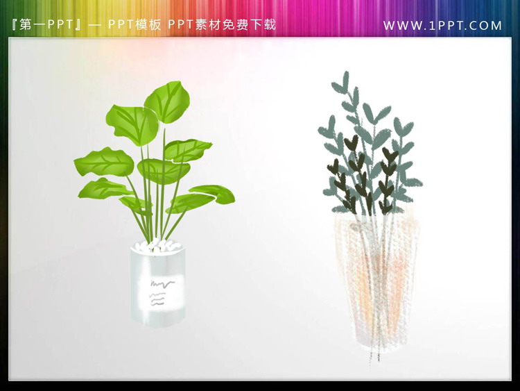图片[1]-两张绿色盆景PPT素材插图-第一PPT