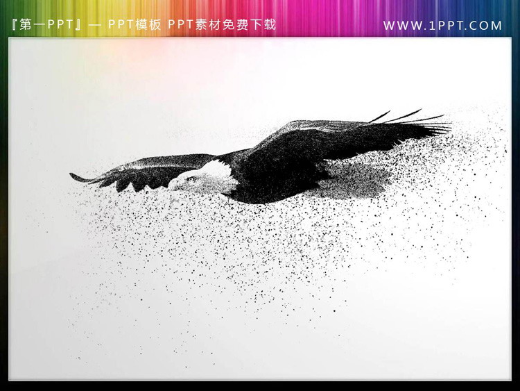 图片[3]-三张黑色粒子老鹰PPT插图素材-第一PPT
