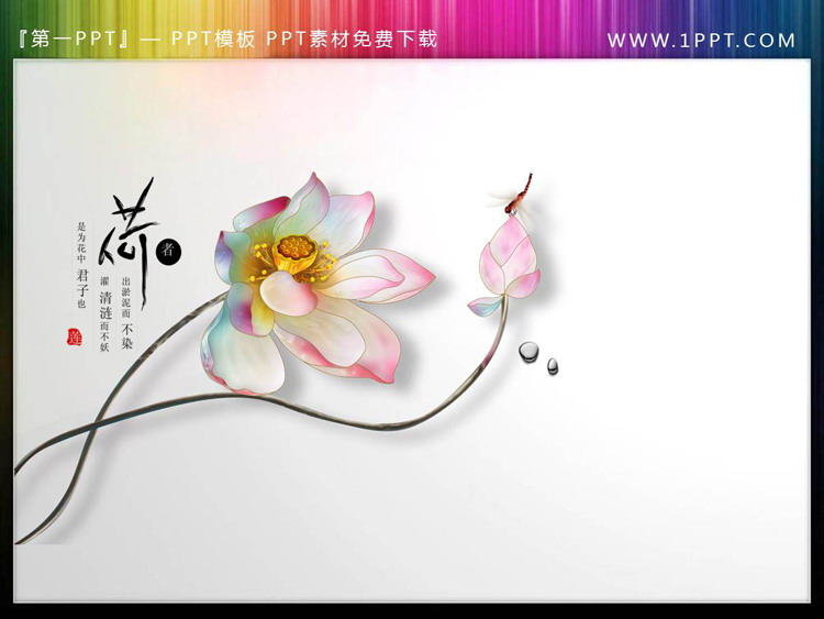 图片[3]-6套精美荷花PPT素材-第一PPT