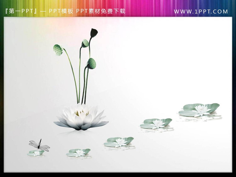 图片[4]-6套精美荷花PPT素材-第一PPT