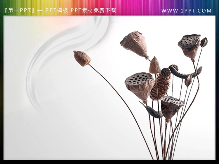 图片[2]-五套精致荷花PPT素材插图下载-第一PPT
