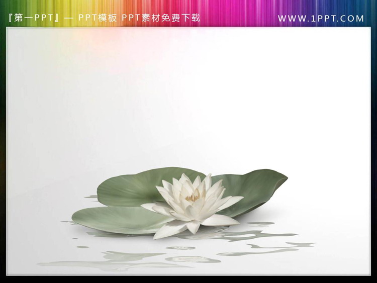 图片[5]-五套精致荷花PPT素材插图下载-第一PPT