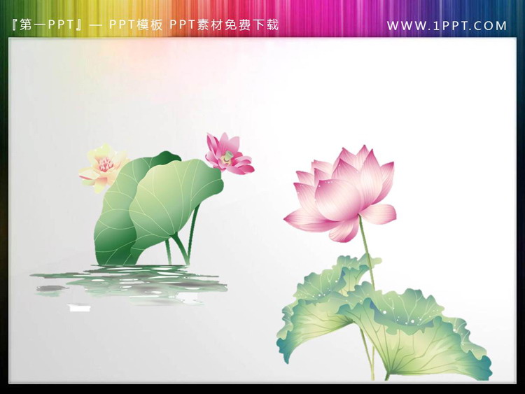 图片[3]-12套透明荷花荷叶PPT素材-第一PPT