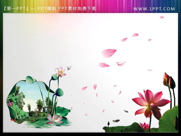 图片[4]-12套透明荷花荷叶PPT素材-第一PPT