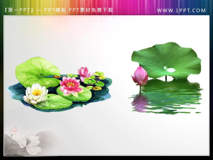 图片[5]-12套透明荷花荷叶PPT素材-第一PPT