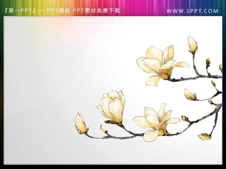 图片[1]-四张透明背景的春天里的花卉PPT素材-第一PPT