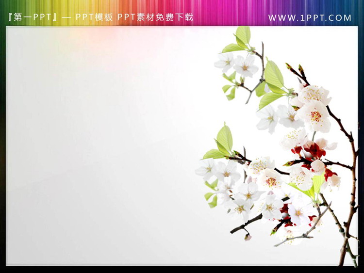 图片[3]-四张透明背景的春天里的花卉PPT素材-第一PPT