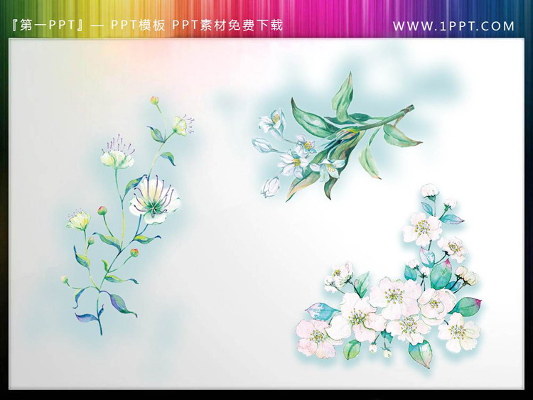 图片[3]-一组清新唯美水彩花卉PPT素材-第一PPT